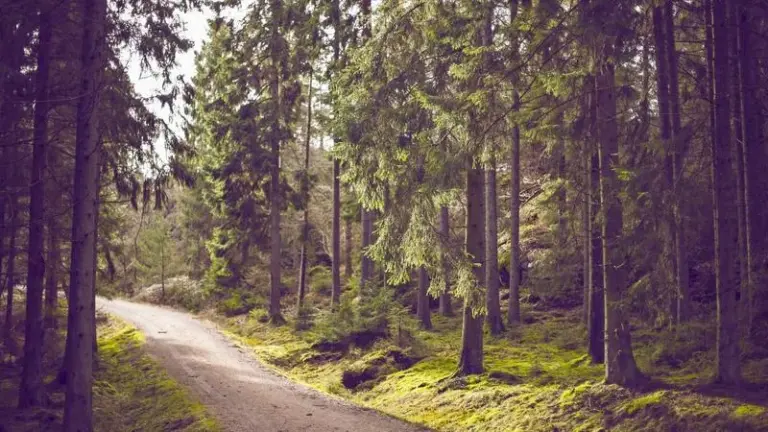 How to Prevent AI Hallucinations in Technical Research