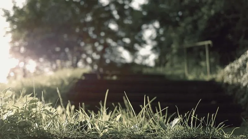 How to Use Spaced Repetition to Beat the Forgetting Curve