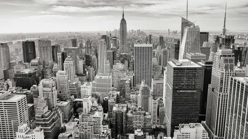 Identifying Implicit Premises in Complex Arguments