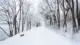 The Future of Personalized Synthetic Writing and Memory