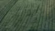 Using Negative Constraints to Prevent AI Style Drift