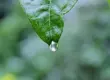 How to Use Bubble.io + AI to Build No-Code Apps With Automated Logic
